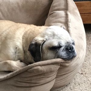 Meet your Posher, Beth